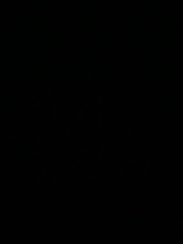 مطلوب موظفة تسويق وإدارة محتوى - 1