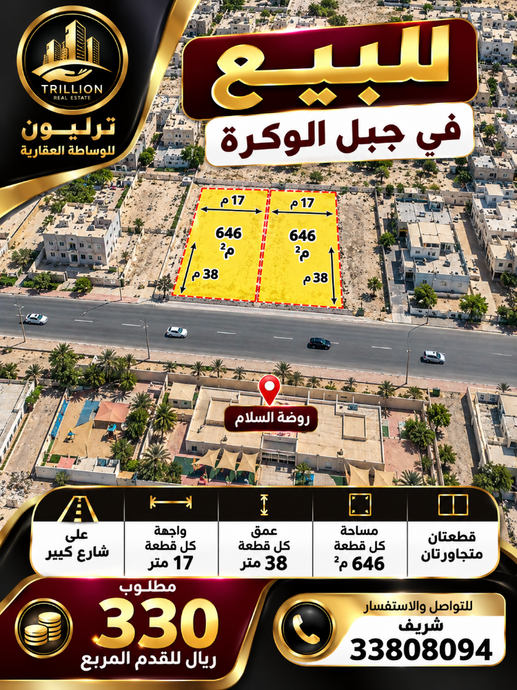 قطعتين ارض في الوكره - 2