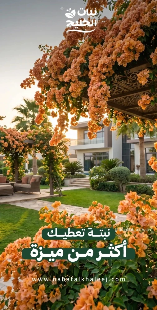 زراعه الورود والاشجار المثمره - 1