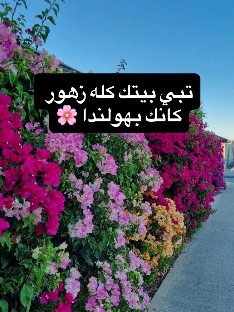 مزارع زراعه وصيانه وترتيب الحدائق - 1
