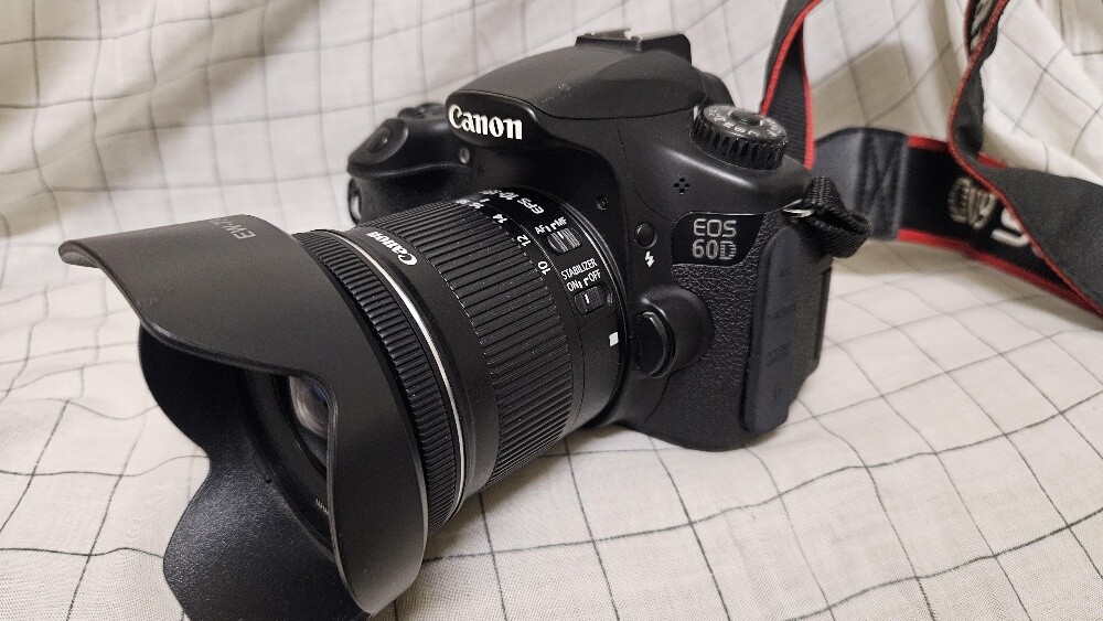 Canon 60D - 1