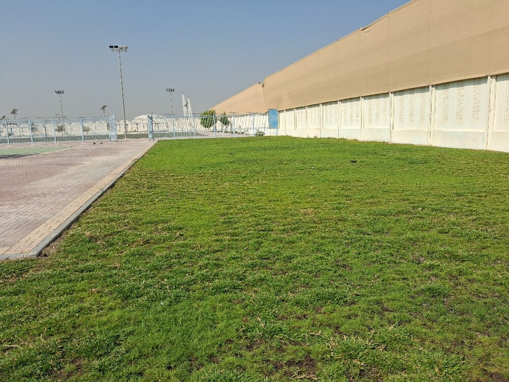 لزراعه وتنسيق الحدائق وعمل شبكات - 1
