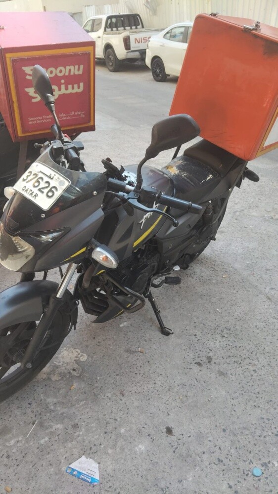 Palsar 2022 - 5