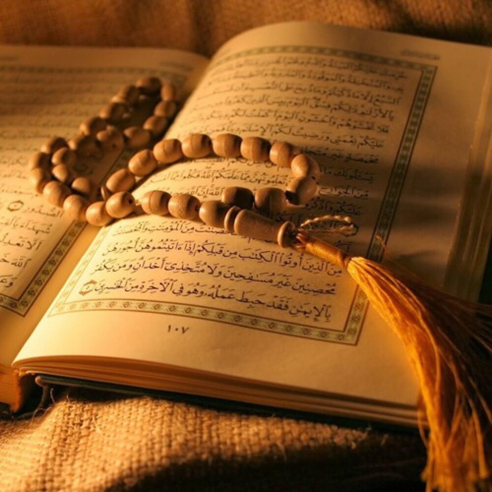 ابحث عن عمل - 1