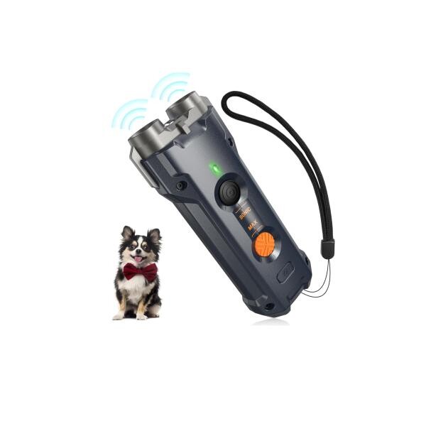Smarter Way to Train Your Dog - 4