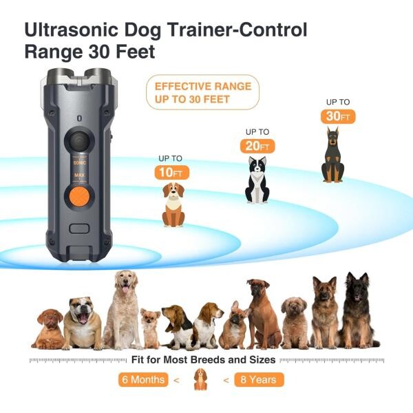 Smarter Way to Train Your Dog - 3