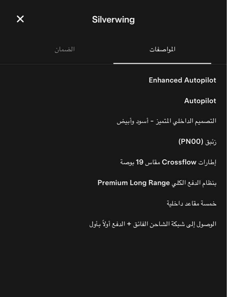 تسلا ٢٠٢٥ - 4