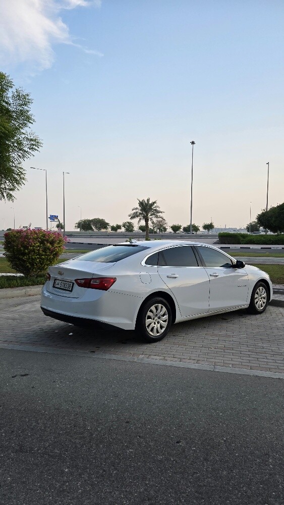 بيع - 3