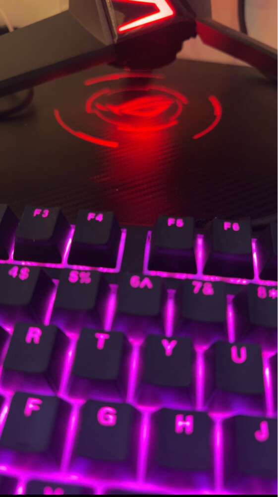REPUBLIC OF CAMERS MONITORS ASUS - 2