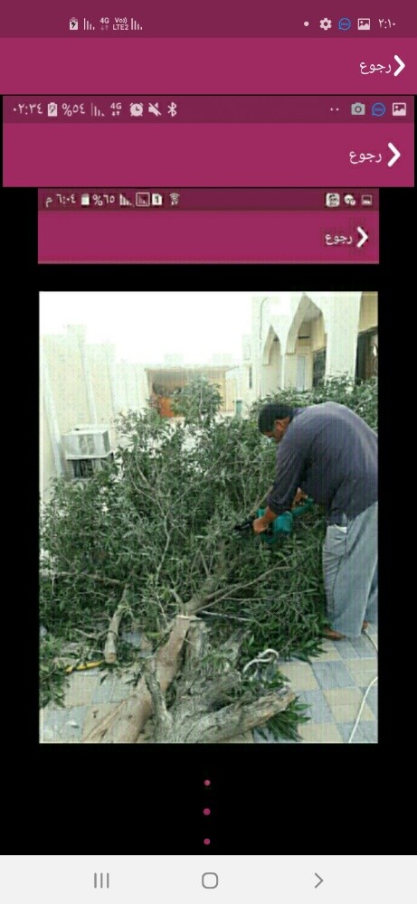 مقطع اشجار - 3