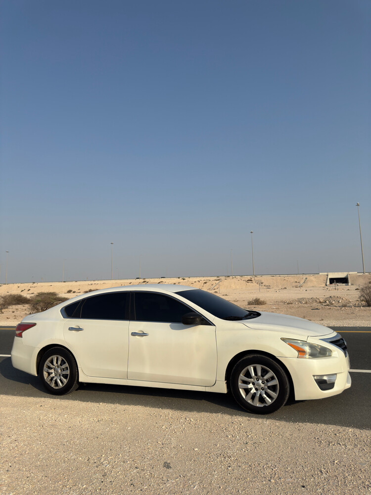التيما نظيفة جدا - 1