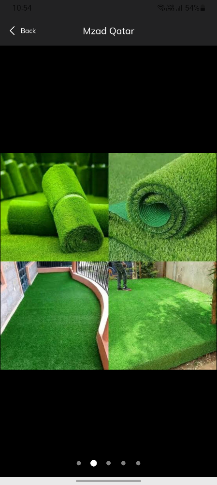 Artificial grass, grass carpet - 1