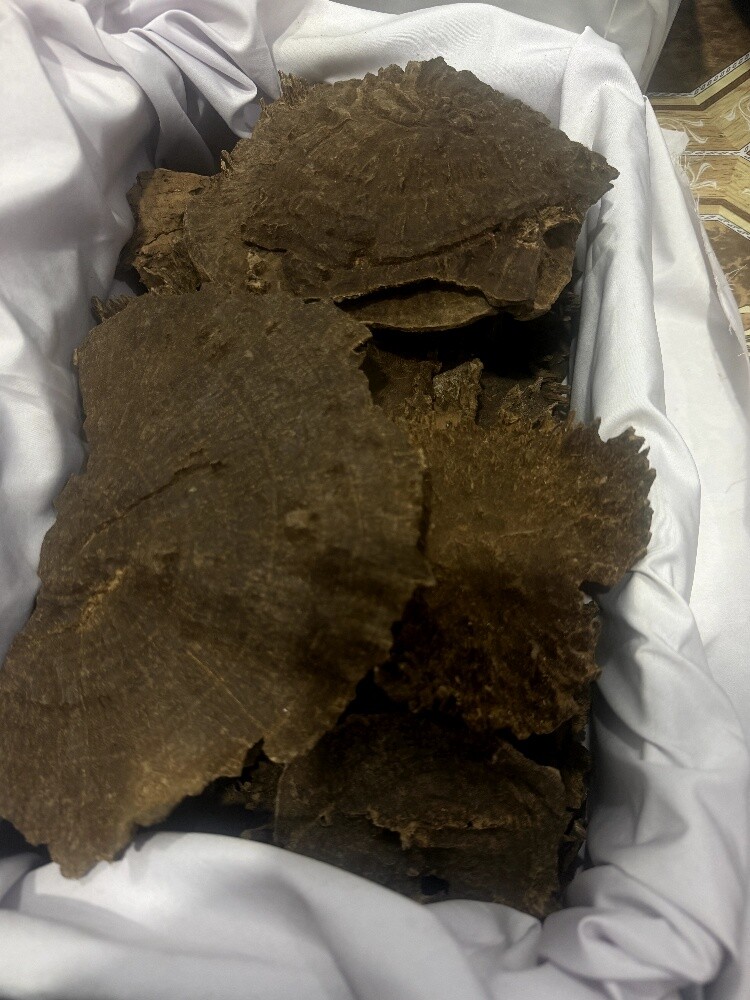 Indian Hindi oud Imphal king super - 1