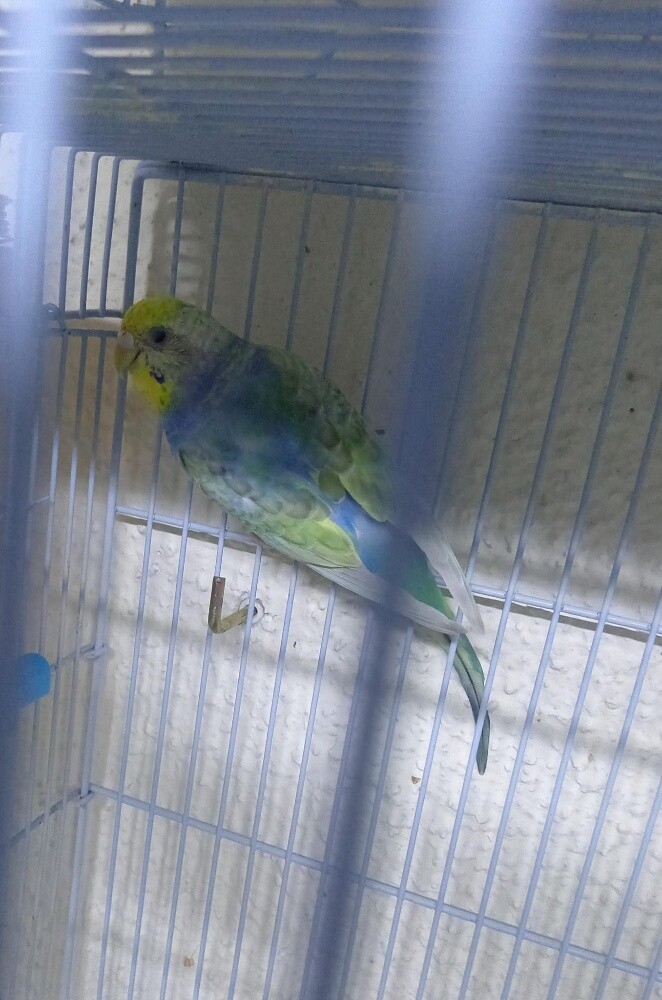 For Sale - 3