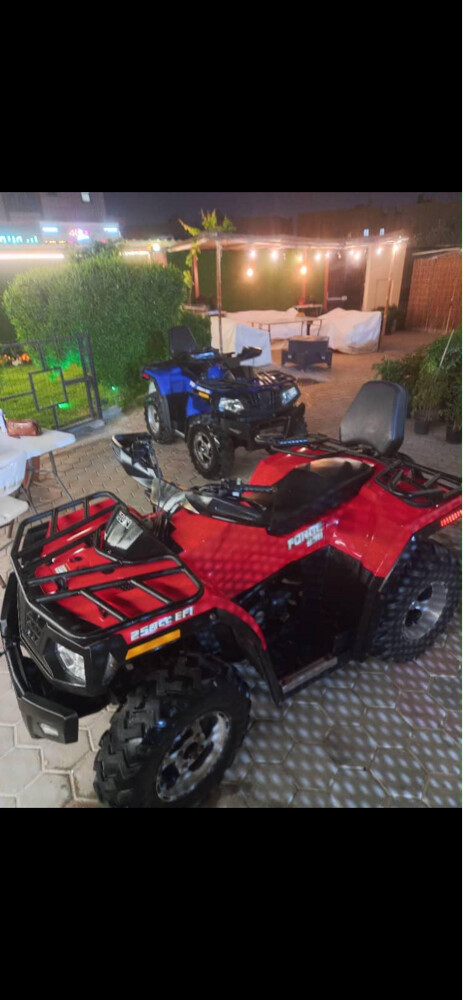 Hisun Forge 250 - 1