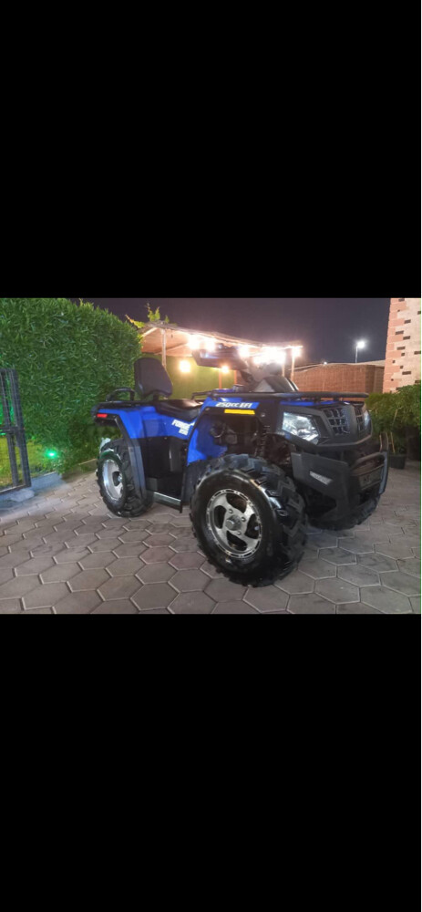 Hisun Forge 250 - 1