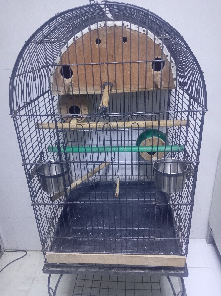 big cage - 2