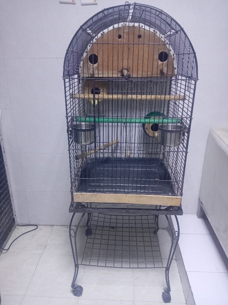 big cage - 1