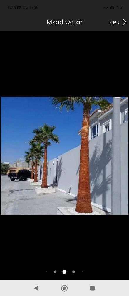 بيع وشنطونيا ونخيل - 1