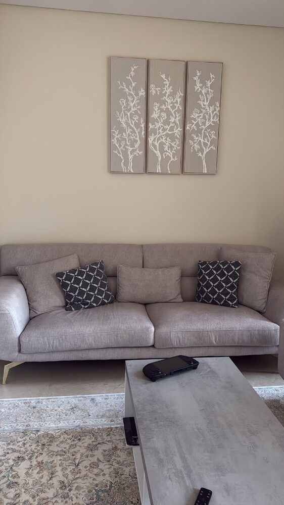 Sofa Set with Table for Sale - 3
