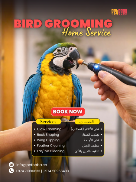 BIRD GROOMING HOME SERVICE - 1