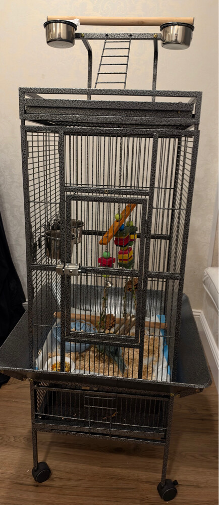 birds cage  - 1