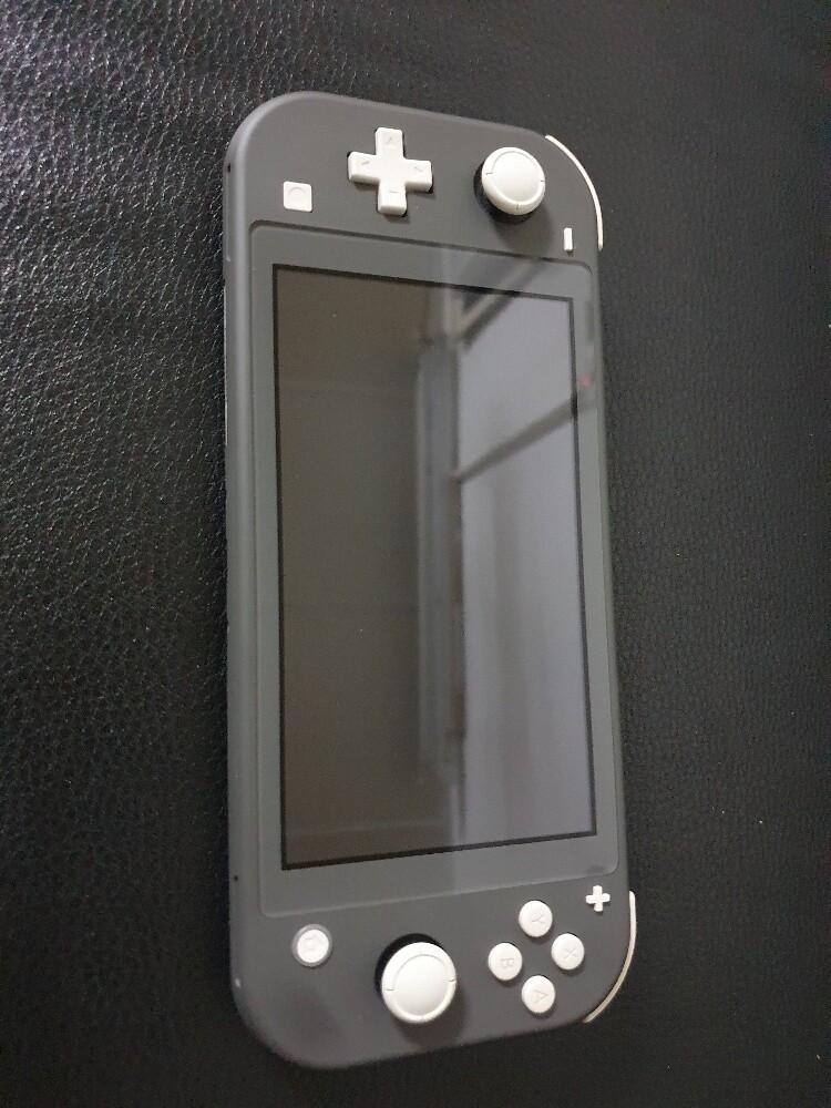 Nintendo switch lite - 1
