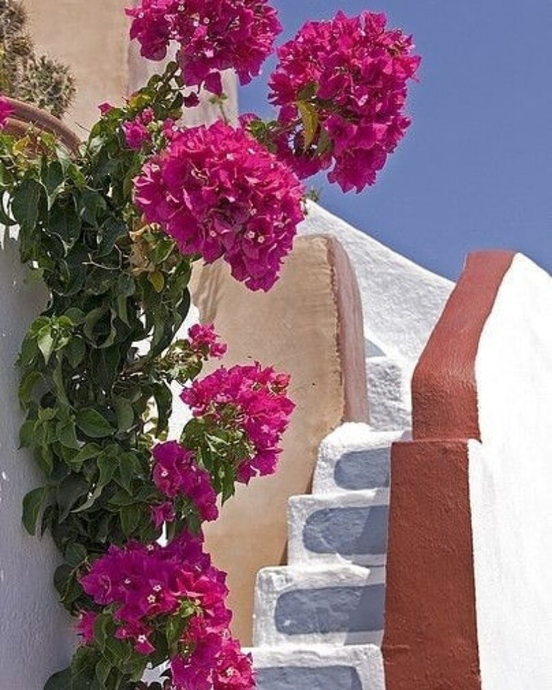 مزارع - 3