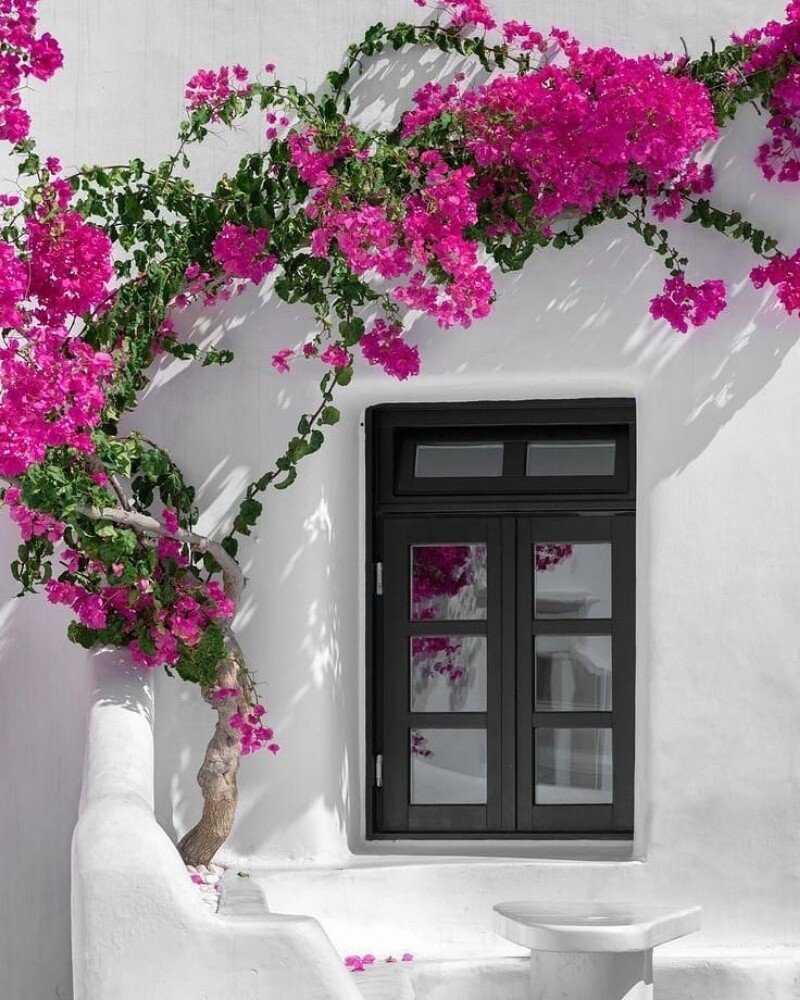 مزارع - 4