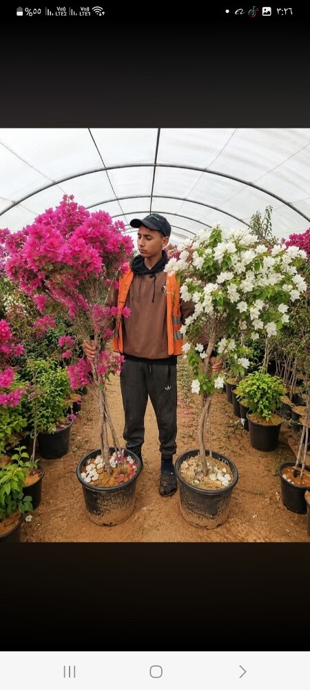 مزارع توريد وتركيب الجهنمية - 1
