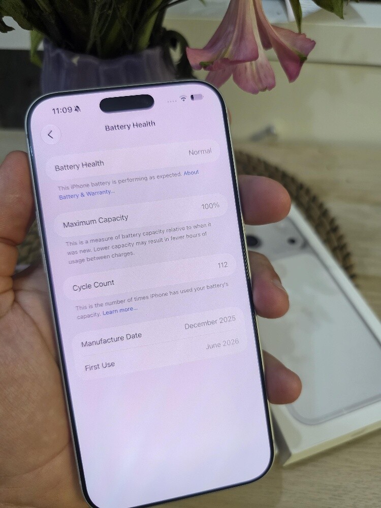 iPhone 17 Pro Max 256Gb Silver - 5