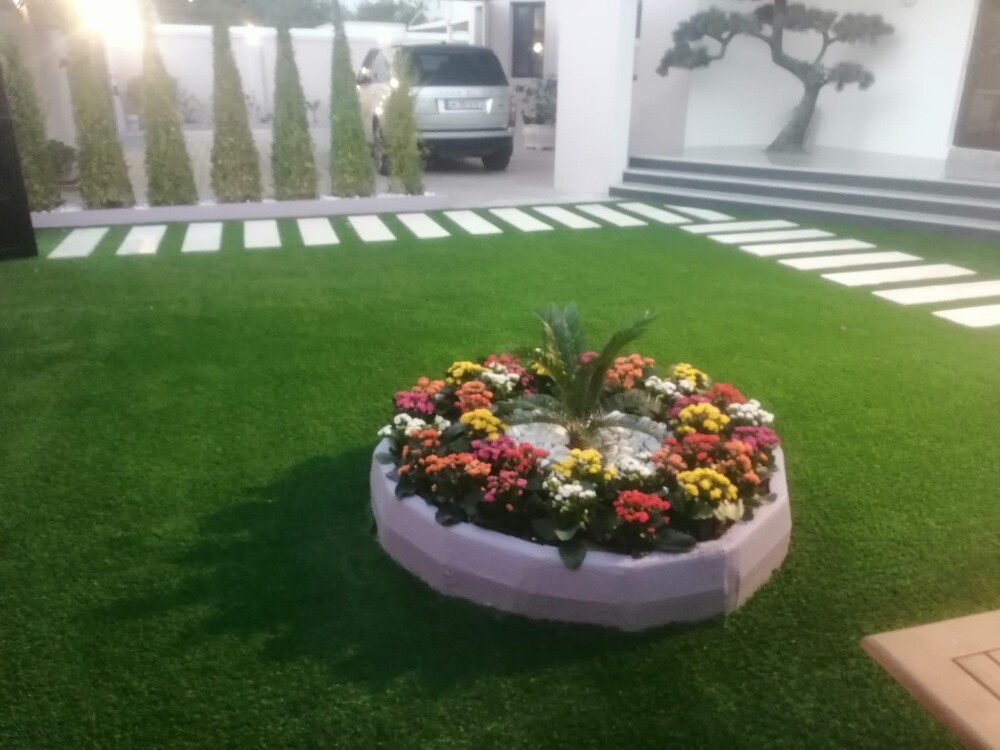 Grass - 3