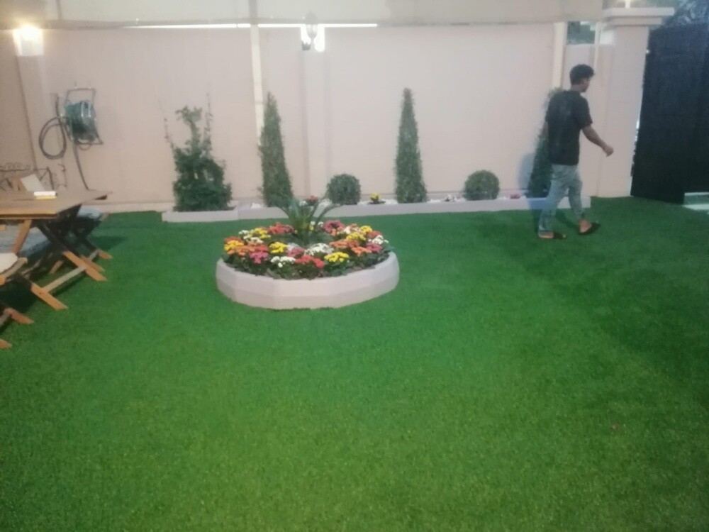 Grass - 1