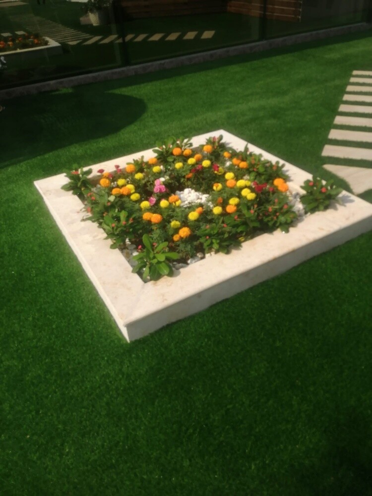 Grass - 2