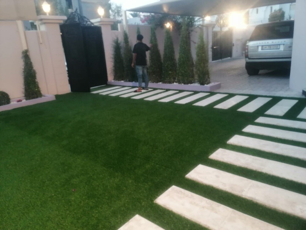 Grass - 5