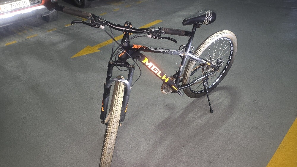 Bicycle (like almost never used) - 4