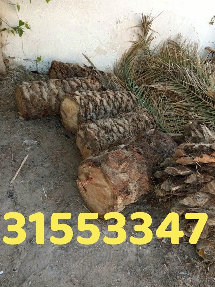 قص وتقطيع الأشجار - 1