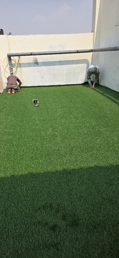 Grass Carpet - 1