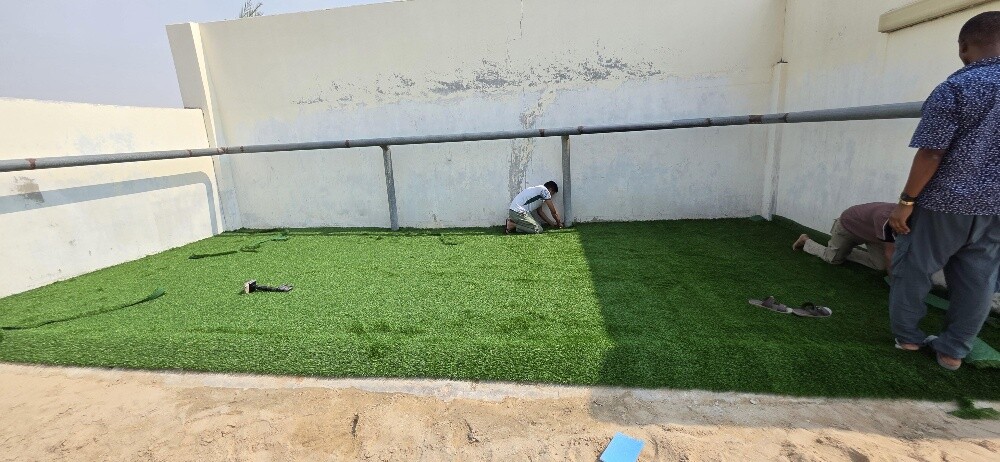 Grass Carpet - 2