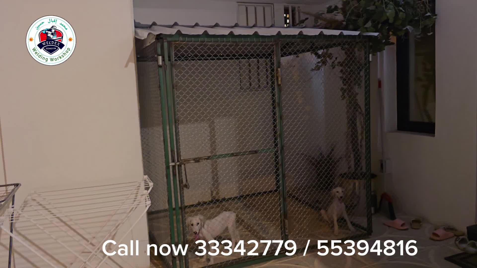 بيت الحمام والدجاج 2/2 - 1