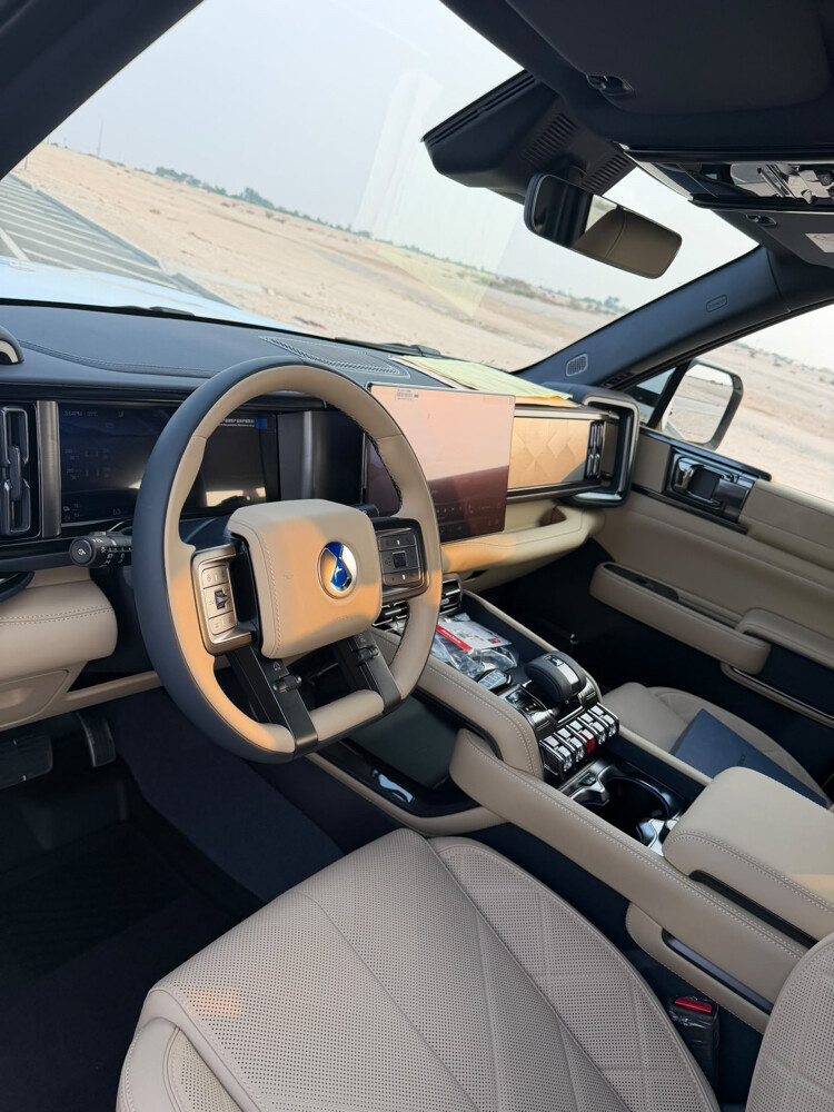 دينزا - 4