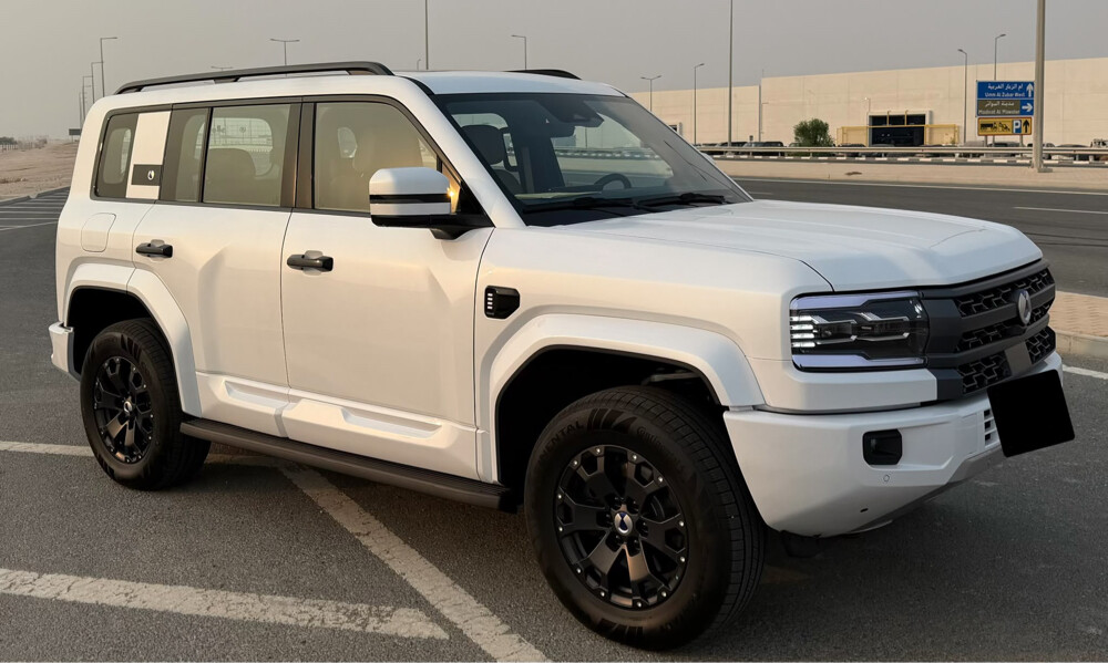 دينزا - 1