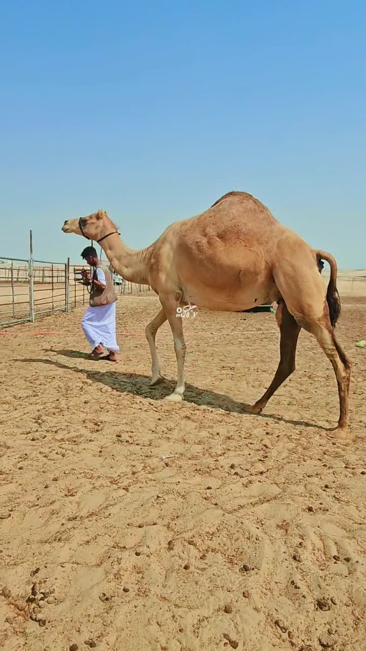 عرض فااااااااخر - 1