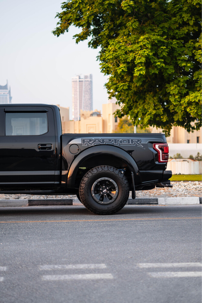 Ford Raptor  - 6