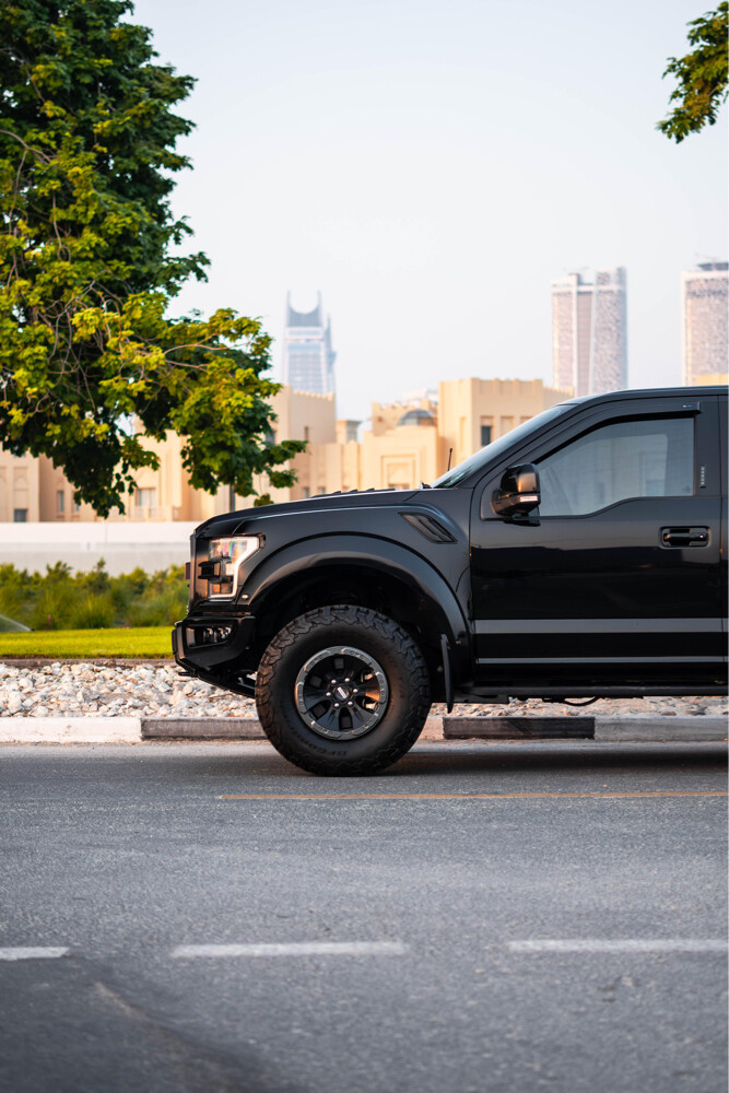 Ford Raptor  - 10