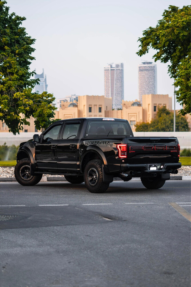 Ford Raptor  - 15