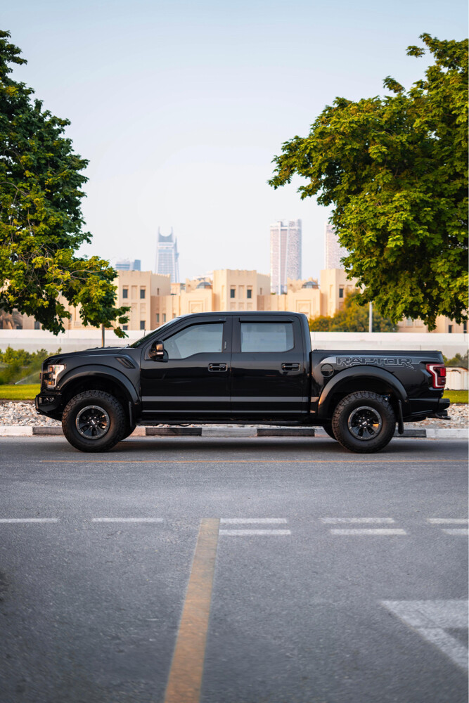Ford Raptor  - 7