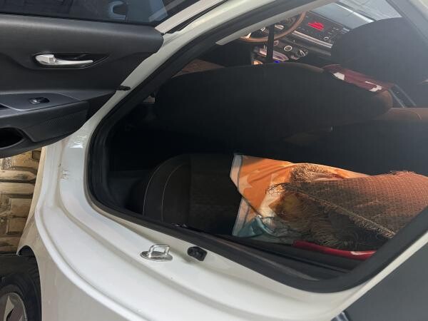 Kia for sale - 7
