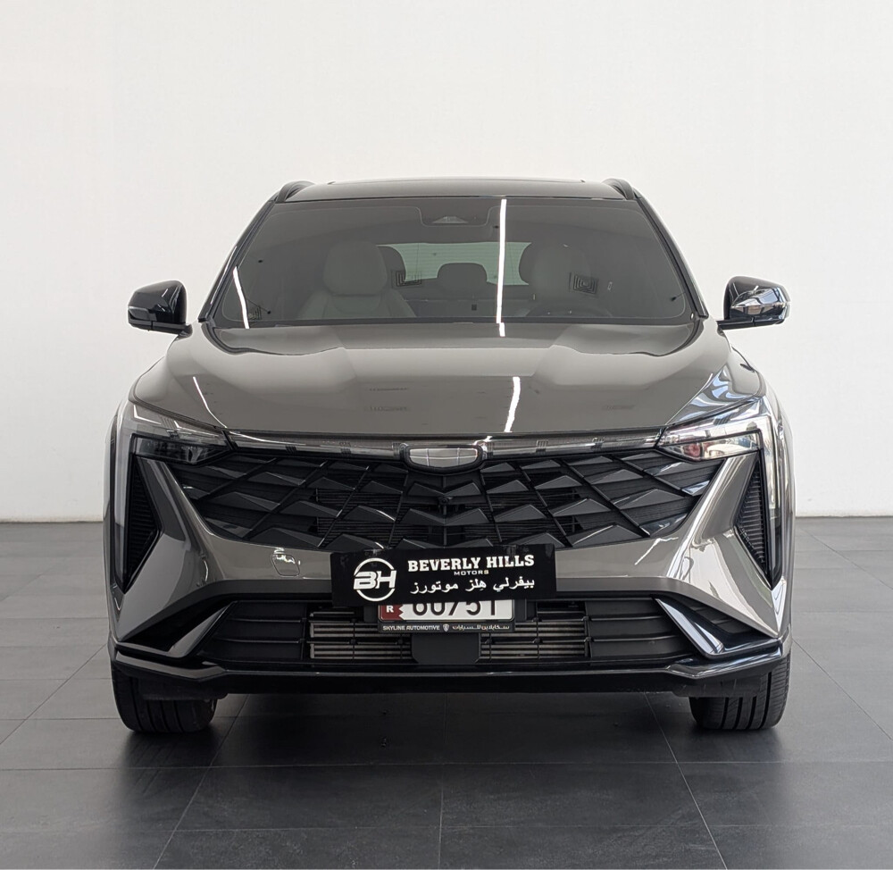2026 GEELY Cityray - 3
