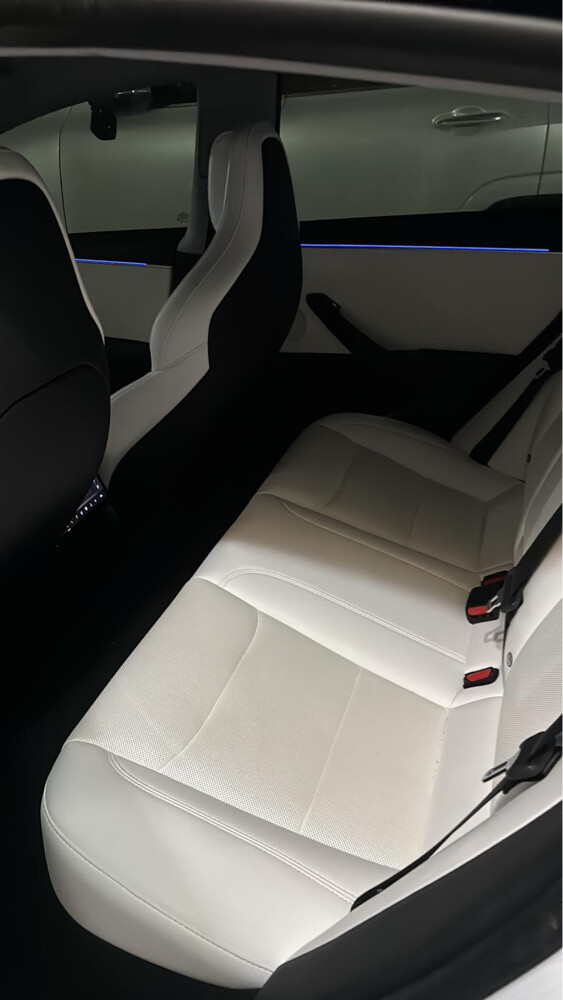 Tesla Model 3 Performance - 2